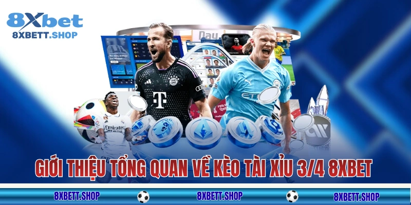 Giới thiệu tổng quan về kèo tài xỉu 3/4 8xbet